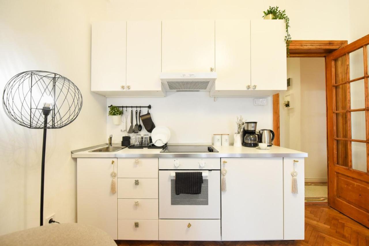 Vintage Elegance, Modern Comfort: 1Br Apartment Overlooking Calea Victoriei บูคาเรสต์ ภายนอก รูปภาพ